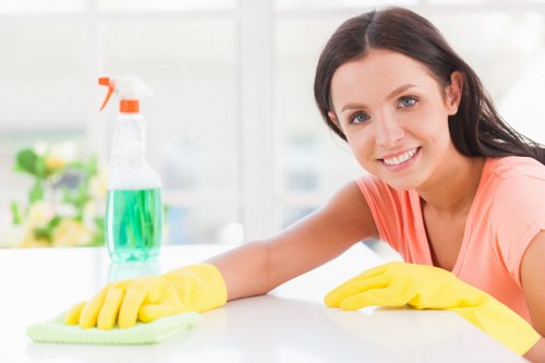 Professional oven cleaning service in Roehampton kitchen