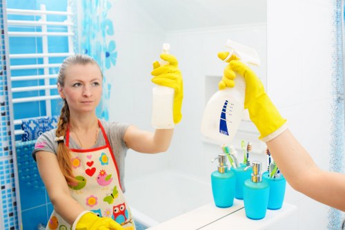 Domestic cleaning in Roehampton for a tidy home interior