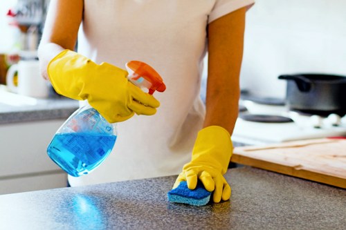 Deep cleaning service for a bathroom in Roehampton