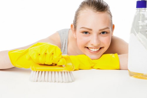 Roehampton carpet cleaning team focusing on deep cleaning and fibre care