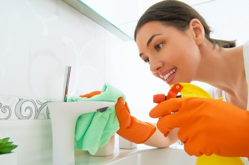 Professional cleaning company in Roehampton for homes and businesses