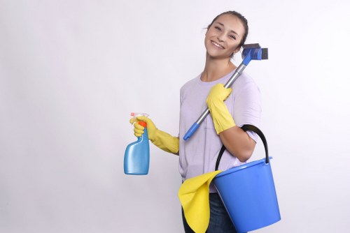 Inclusive online access statement for Carpet Cleaners Roehampton