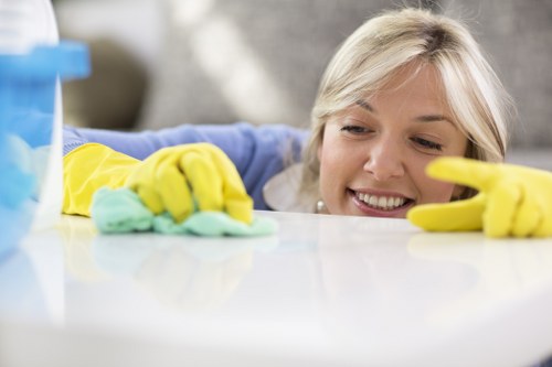 Deep carpet cleaning equipment used in a Roehampton home