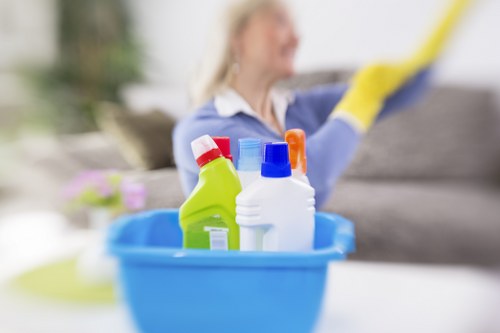 Payment and invoice documents for carpet cleaning services