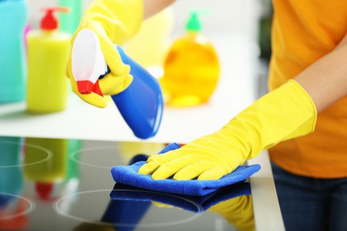 Use of protective gloves and safe cleaning product handling
