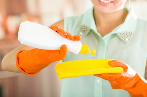 Stain removal and carpet care in a Roehampton property