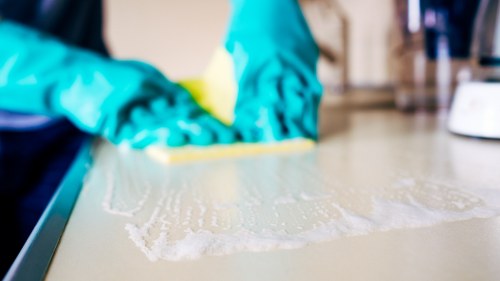 Professional Roehampton carpet cleaner removing stains from carpet fibres