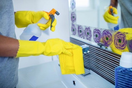 Technician applying professional cleaning with safety equipment