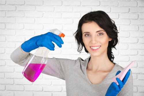 Professional deep cleaning of kitchen and bathroom in Roehampton