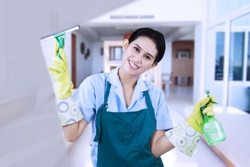 Professional cleaning tasks in a Roehampton kitchen and living area