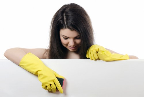 About us page for Carpet Cleaners Roehampton highlighting professional local service