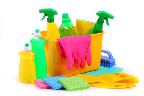 Clean and healthy Roehampton home maintained by domestic cleaning